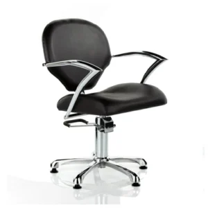 Professional Salon Styling Chair